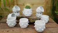 5.5cm Spikey Pot - Empty (12)